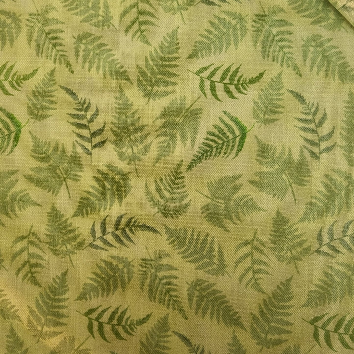 Blank Papillon Parade B-9370-60