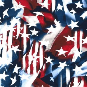 TC Studios Made in the USA: Abstract Flags 49024-RWB