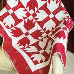 Red, White and Quilted by Linda Lasco Baxter AQS1651