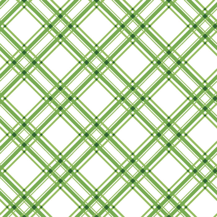 Maywood Studios Kimberbell Basics MAS8244-G Diag Plaid