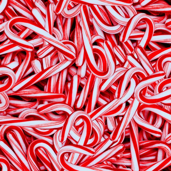 Hoffman Peppermint Lane Digital Print T4872-75