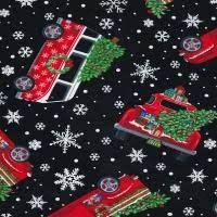 Timeless Treasures Let it Snow C6887 Black