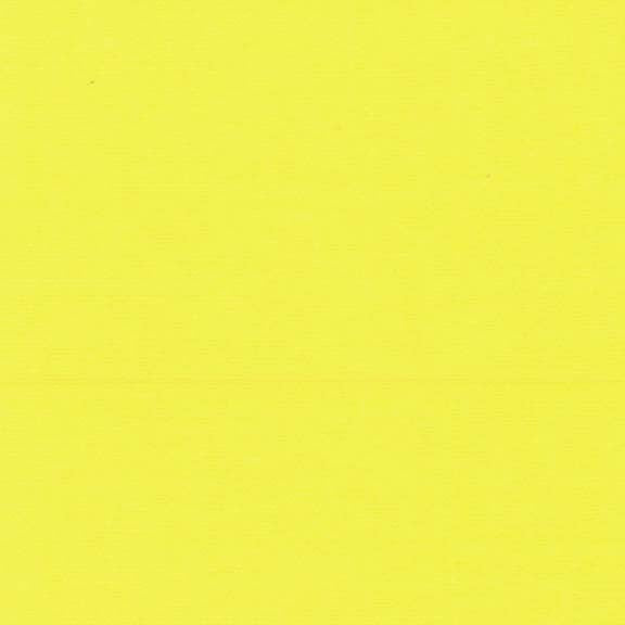 Michael Miller Cotton Couture Citrus SC5333-CITR-D