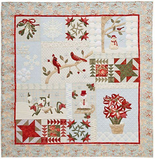 A Graceful Winter Pattern AQS