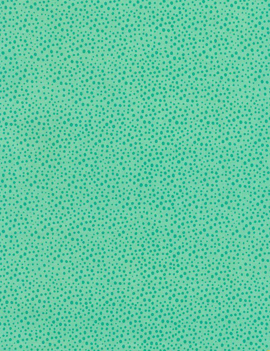 Timeless Treasures Dot C5510-Aqua