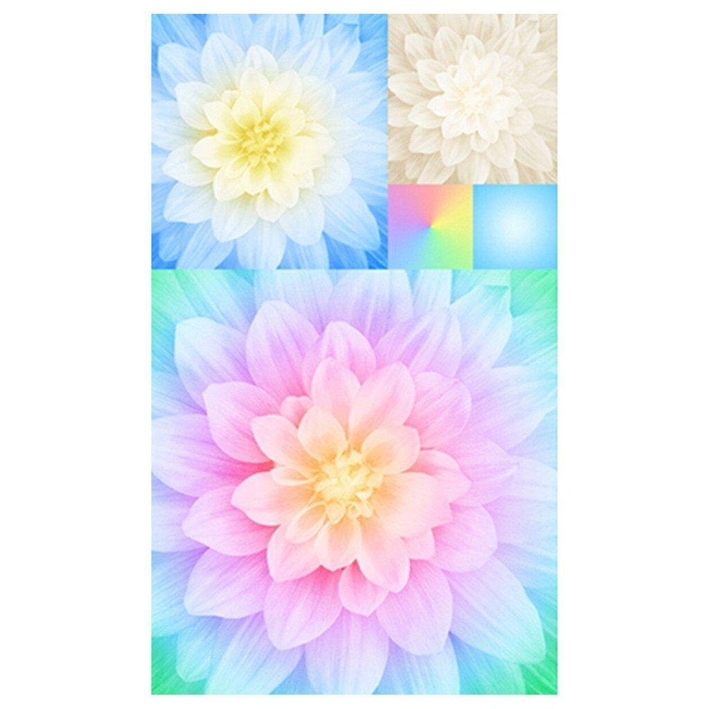 Hoffman Fabrics Dream Big KaBlooms - Opal - Q4499-132
