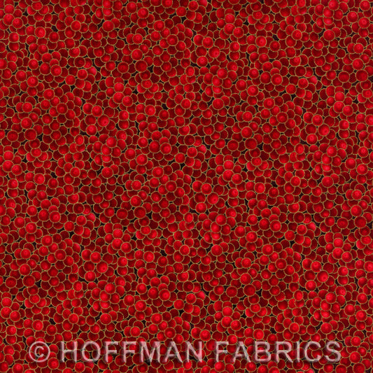 Hoffman Berries Scarlet/Gold G8556-78G